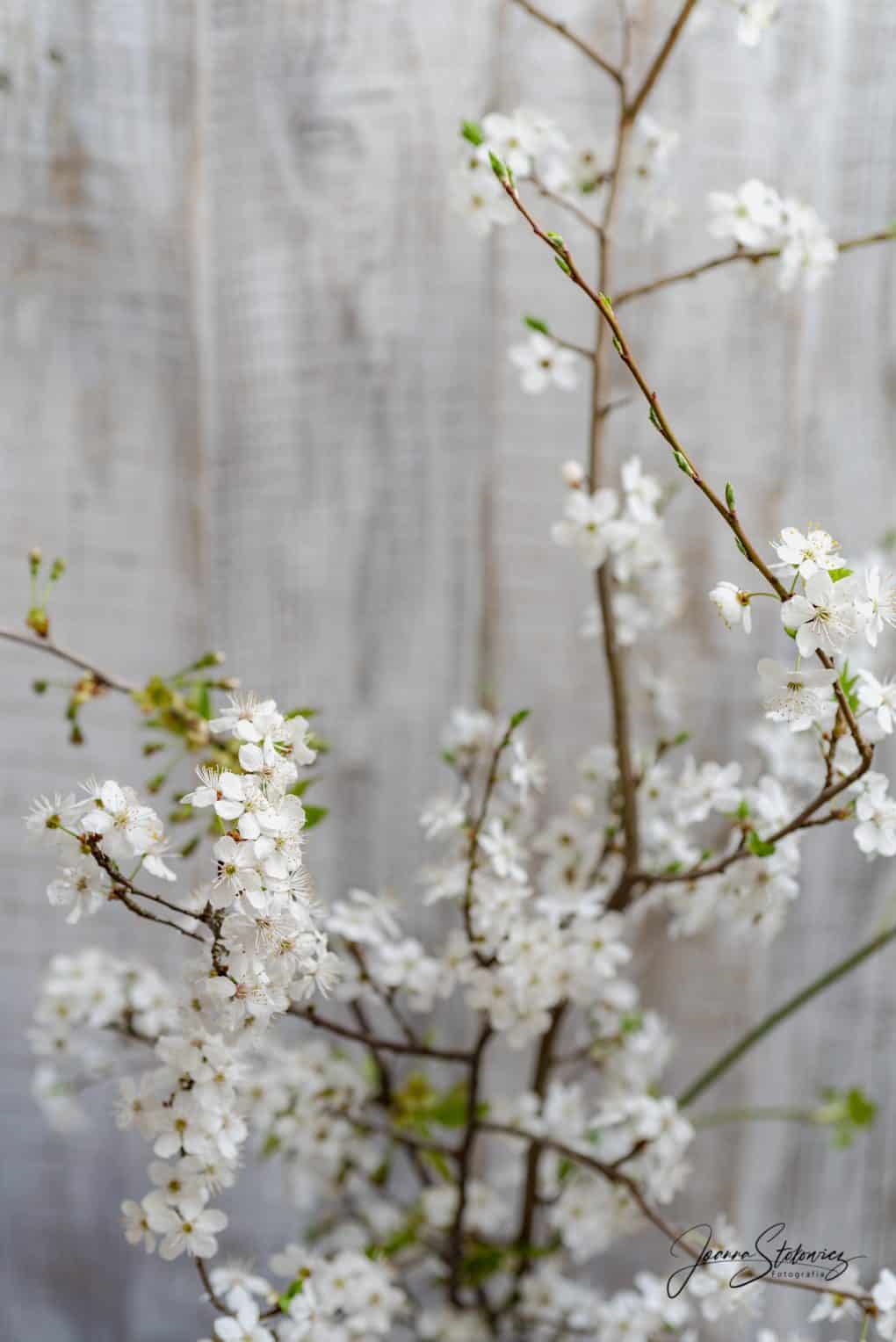 Najlepsze gofry jak z budki Thermomania Thermomix