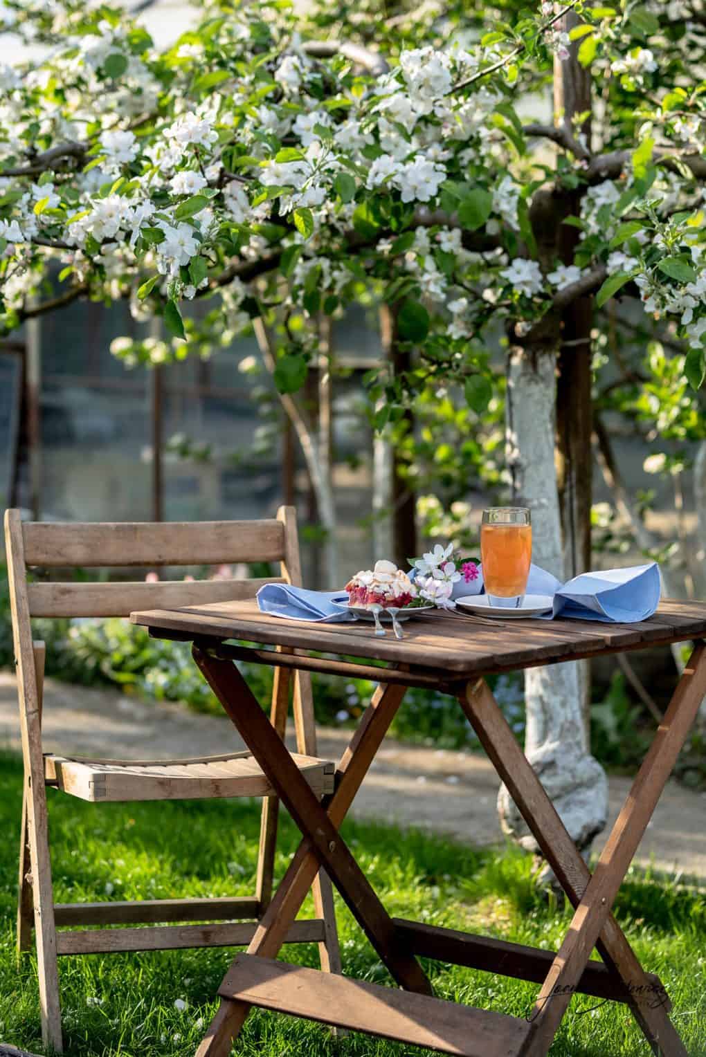 Kruche ciasto z rabarbarem, malinami i bezą Thermomania Thermomix