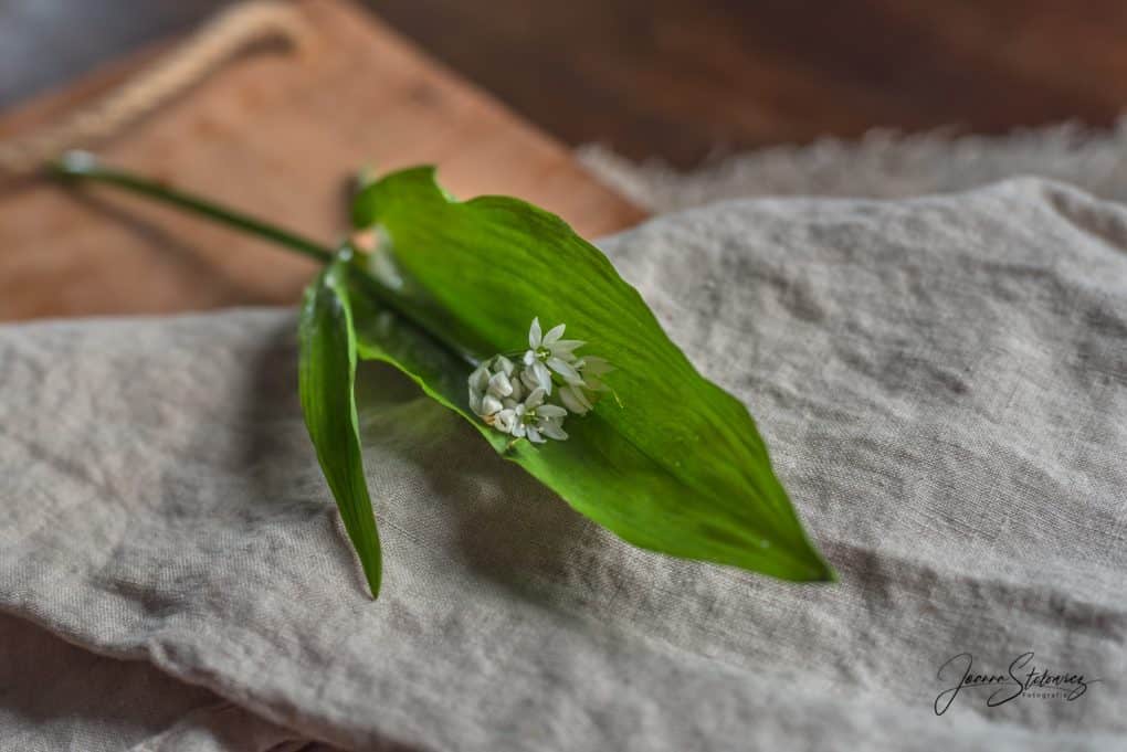 Pesto z czosnku niedźwiedziego Thermomania Thermomix