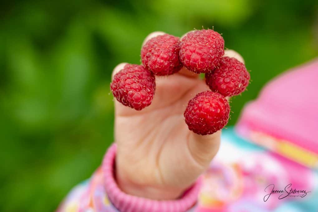 Maliny Pieczona owsianka z malinami Thermomania Thermomix